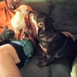 Meet your Posher, Katrina